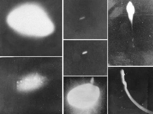 Black and white photos from UFOs in Amazon