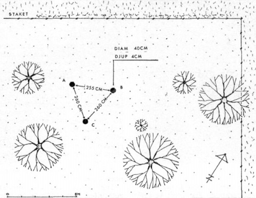 Lake Anten UFO Landing Incident - Sketch indicating the position and shape of the found mark