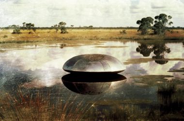The 1966 Tully Saucer Nest