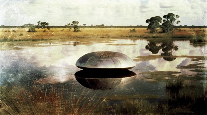 The 1966 Tully Saucer Nest